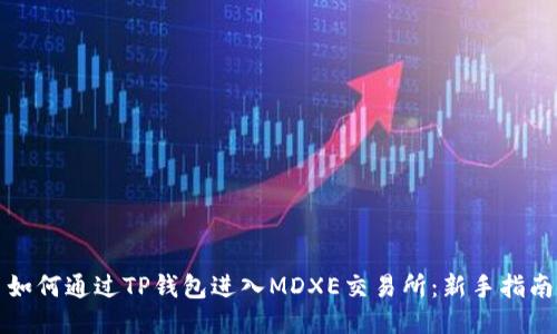 如何通过TP钱包进入MDXE交易所：新手指南