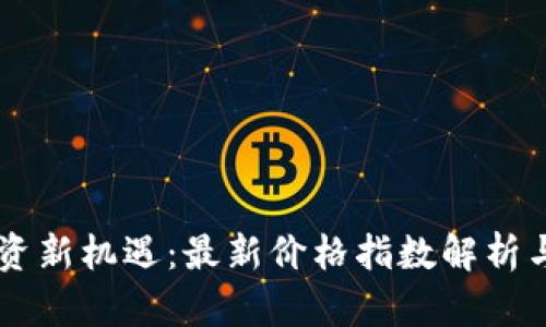 区块链投资新机遇：最新价格指数解析与市场展望