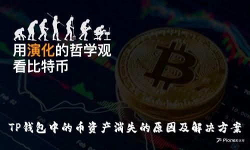 TP钱包中的币资产消失的原因及解决方案