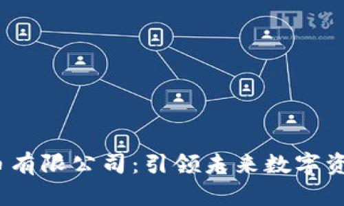  深圳区块链币有限公司：引领未来数字资产的创新之路