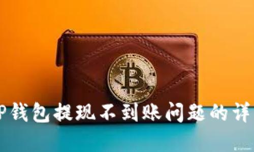 解决TP钱包提现不到账问题的详细指南