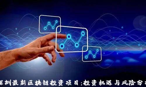 
深圳最新区块链投资项目：投资机遇与风险分析