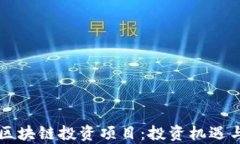 深圳最新区块链投资项目：投资机遇与风险分析