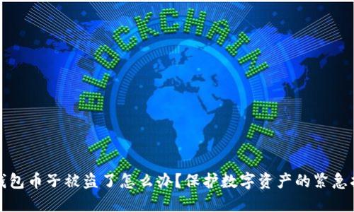 TP钱包币子被盗了怎么办？保护数字资产的紧急指南