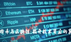 比特币与区块链：揭开技术背后的真相
