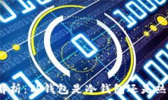  全面解析：TP钱包是冷钱包还是热钱包？