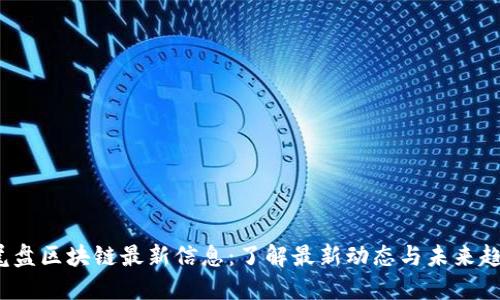  尾盘区块链最新信息：了解最新动态与未来趋势