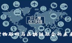 深入探讨物联网与区块链融合的未来：Ruff币