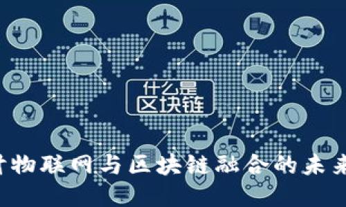 深入探讨物联网与区块链融合的未来：Ruff币