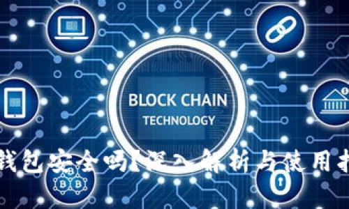 TP钱包安全吗？深入解析与使用指南